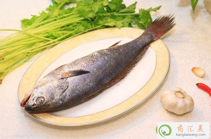 鮸魚的功效與作用 鮸魚的功效與作用